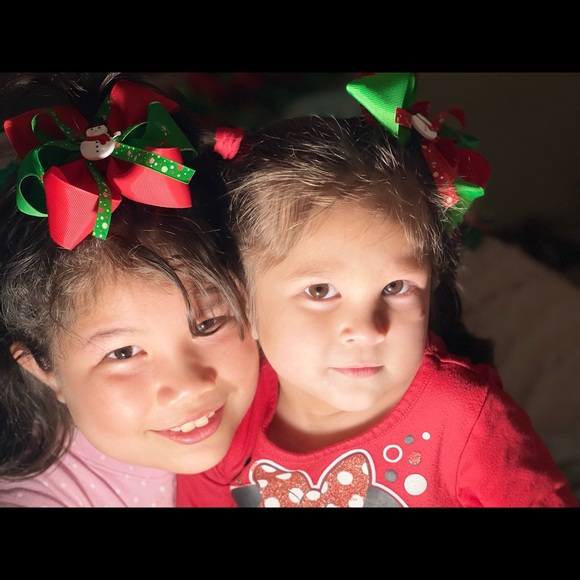 ☃️ 5/$20 HAIR BOWS ⛄️ - Picture 3 of 3